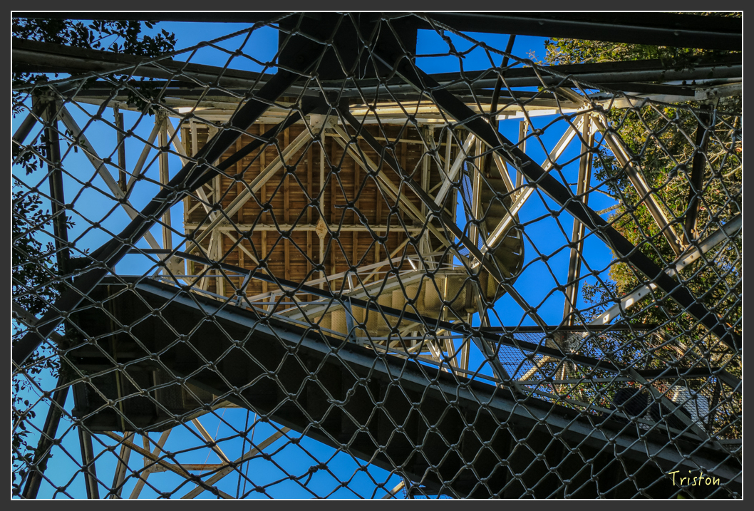 IMG_0728.jpg - 20151219 鳶嘴稍來山、小雪山林道