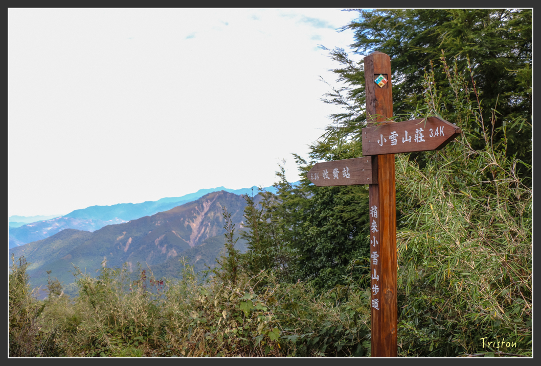 IMG_1077.jpg - 20151219 鳶嘴稍來山、小雪山林道