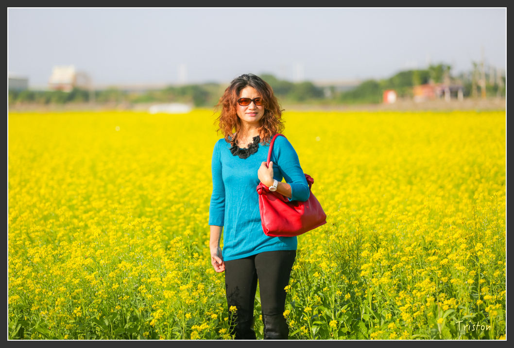 JH1A8066.jpg - 20160101 溪州落羽松 白水湖