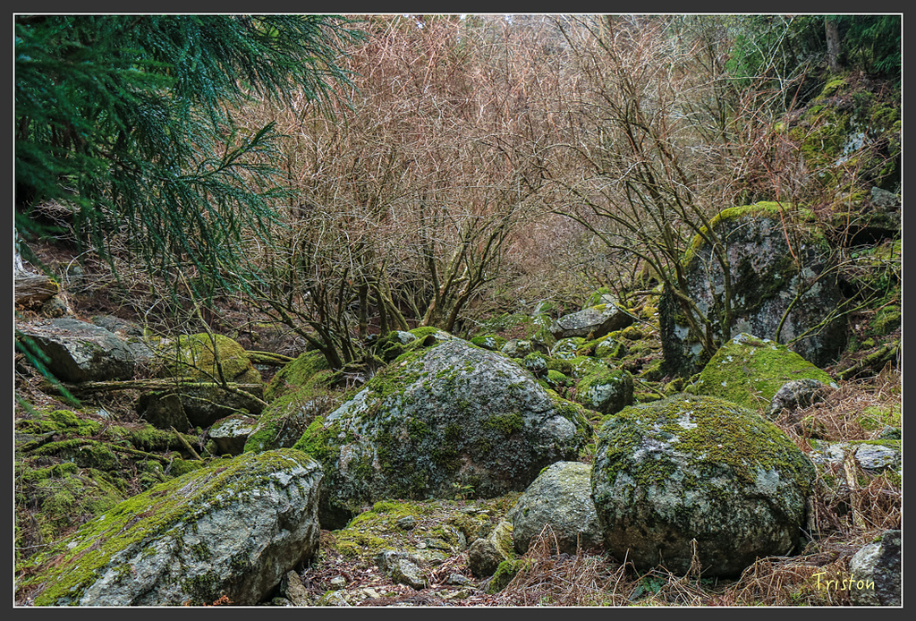 IMG_5484.jpg - 20160323 日本熊野古道健行