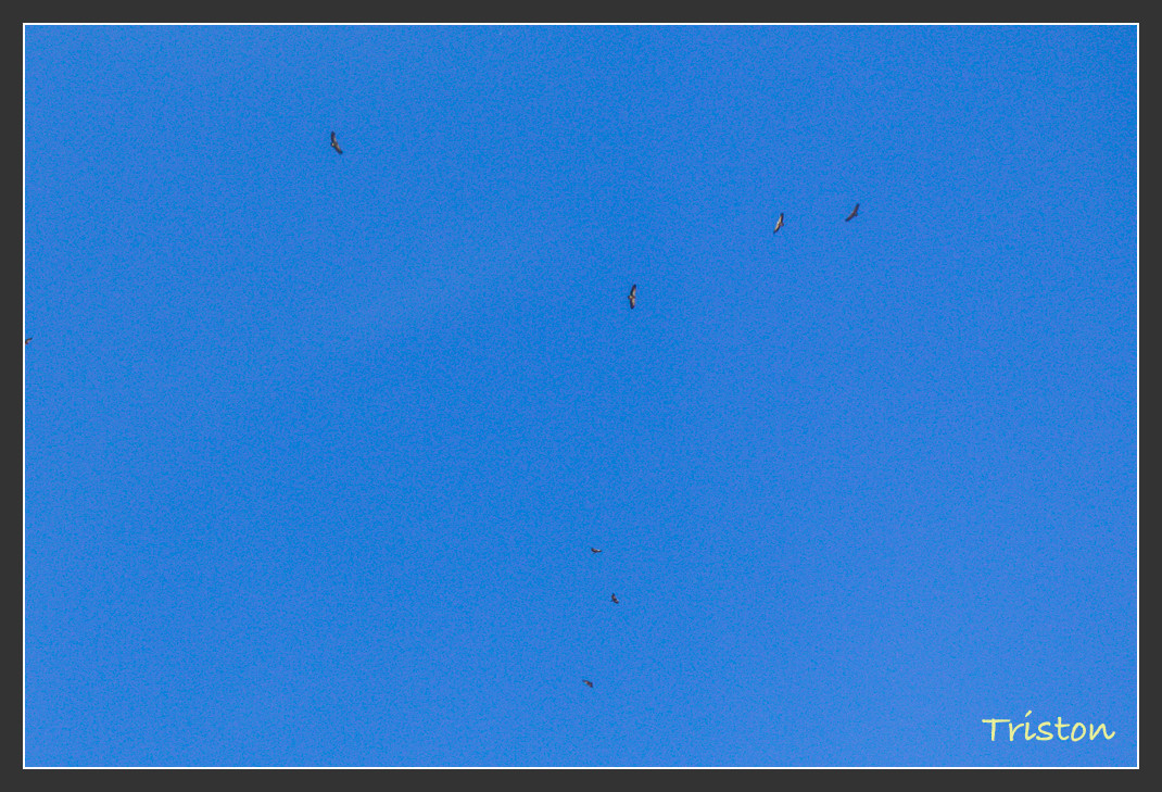 _MG_2496.jpg - 20161013 稻城亞丁