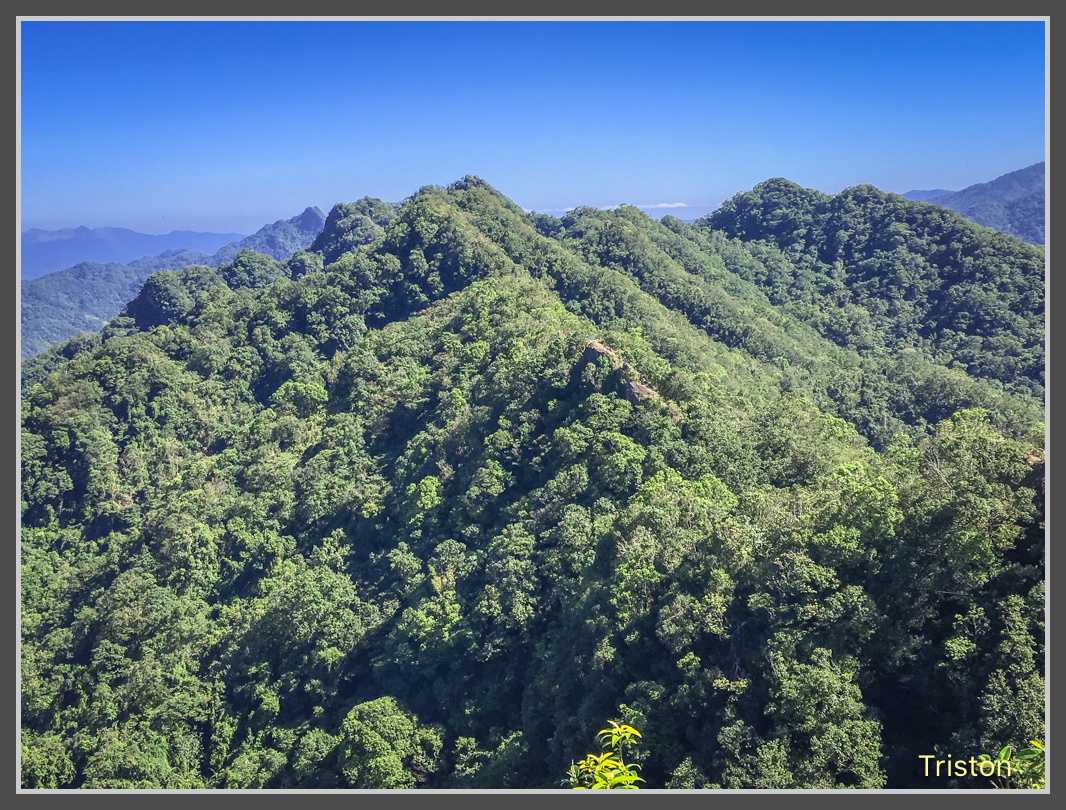 IMG_3349.jpg - 201161113 皇帝殿東西峰