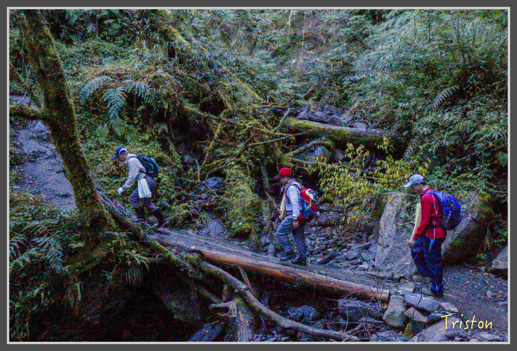 _MG_0133.jpg - 20161203 鎮西堡