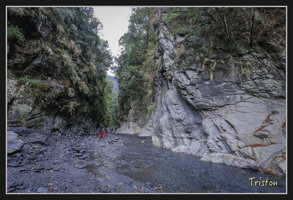 _H1A1897.jpg - 20170212 武界 萬大電廠 奧萬大