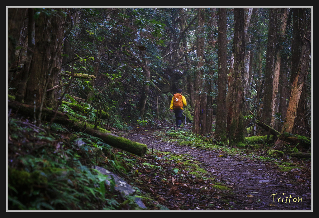 2017-02-27 10.03.53 下午 _MG_0258.jpg - 20170225 玉里瓦拉米