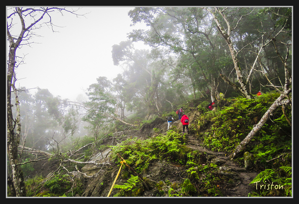 2017-02-27 10.04.56 下午 IMG_1281.jpg - 20170225 玉里瓦拉米