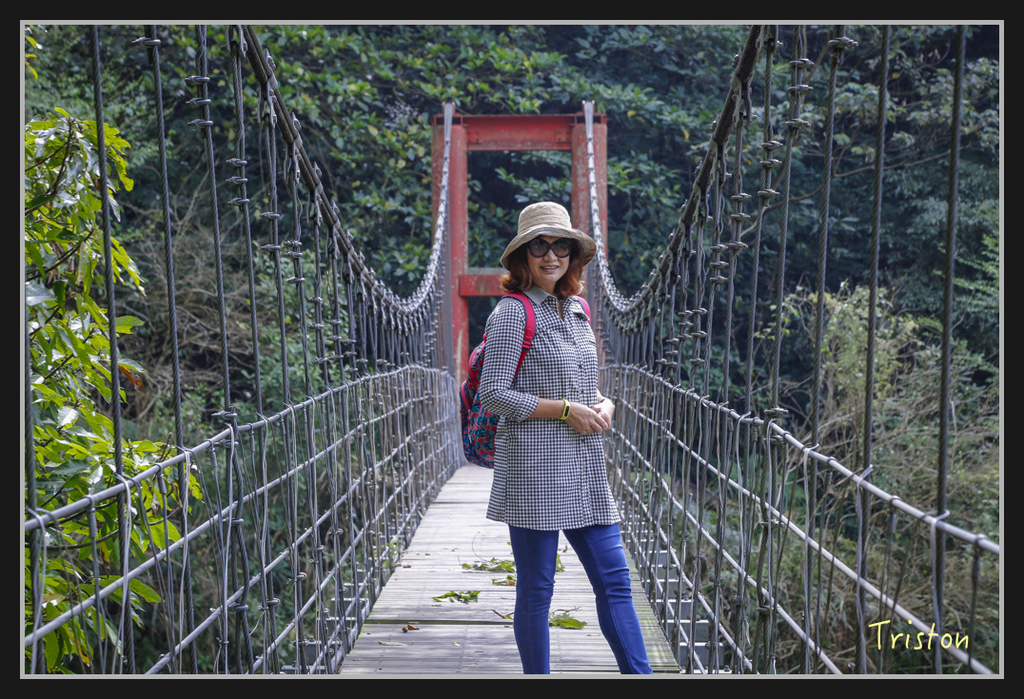 _H1A2461.jpg - 20170311 草嶺