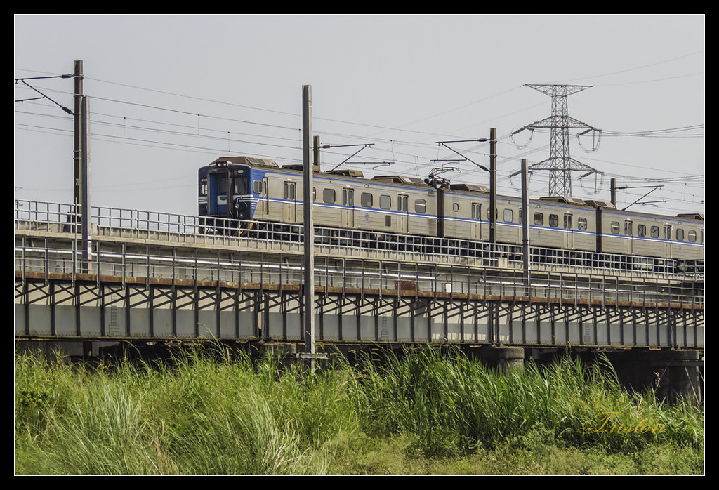 IMG_0016.jpg - 20170327 二層行溪鐵橋+環頸雉
