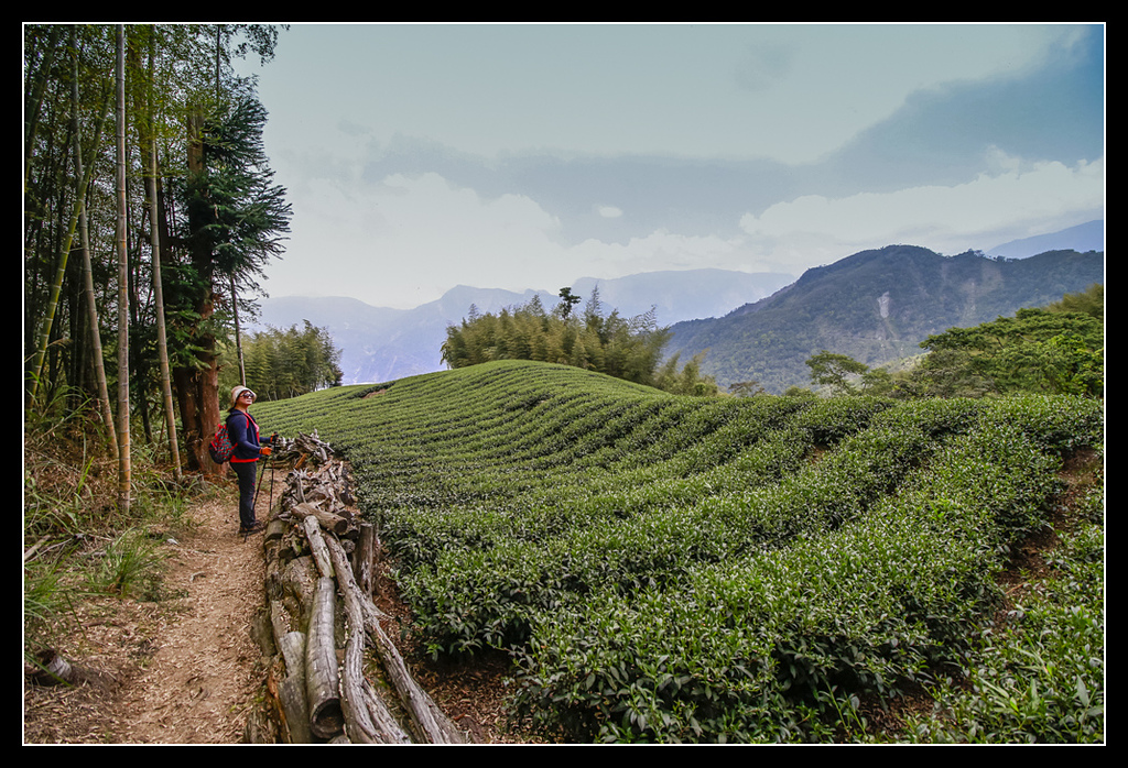 _MG_0171.jpg - 20170408 瑞太古道