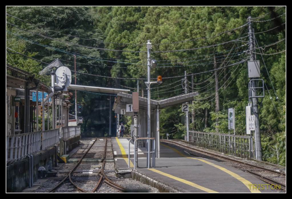 _MG_0453.jpg - 20170702 靜岡東海道之旅