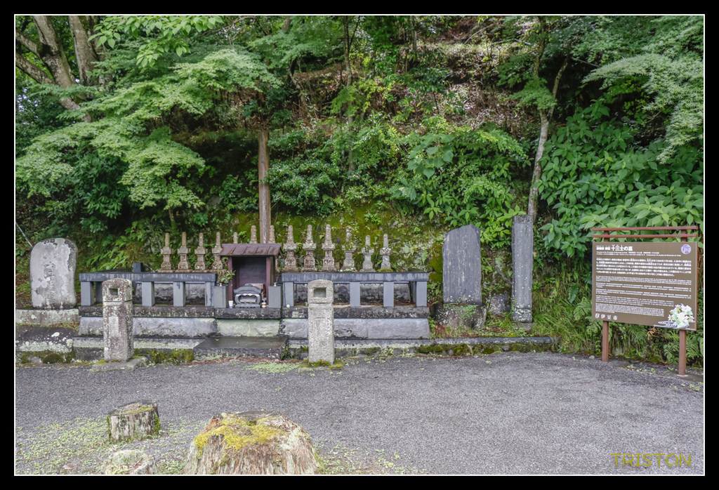 _MG_1175.jpg - 20170702 靜岡東海道之旅