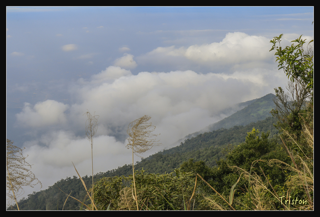 _MG_1069.jpg - 20180127 日湯真山