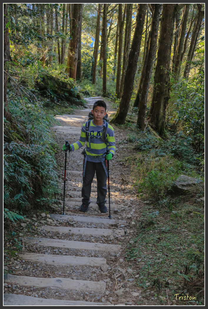 IMG_0741.jpg - 20151219 鳶嘴稍來山、小雪山林道