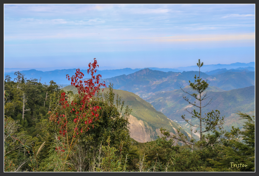 IMG_1080.jpg - 20151219 鳶嘴稍來山、小雪山林道