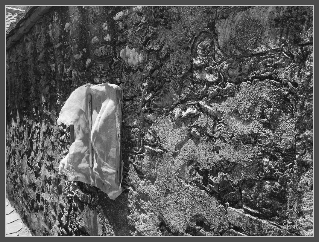 IMG_7826.jpg - 20160701 澎湖