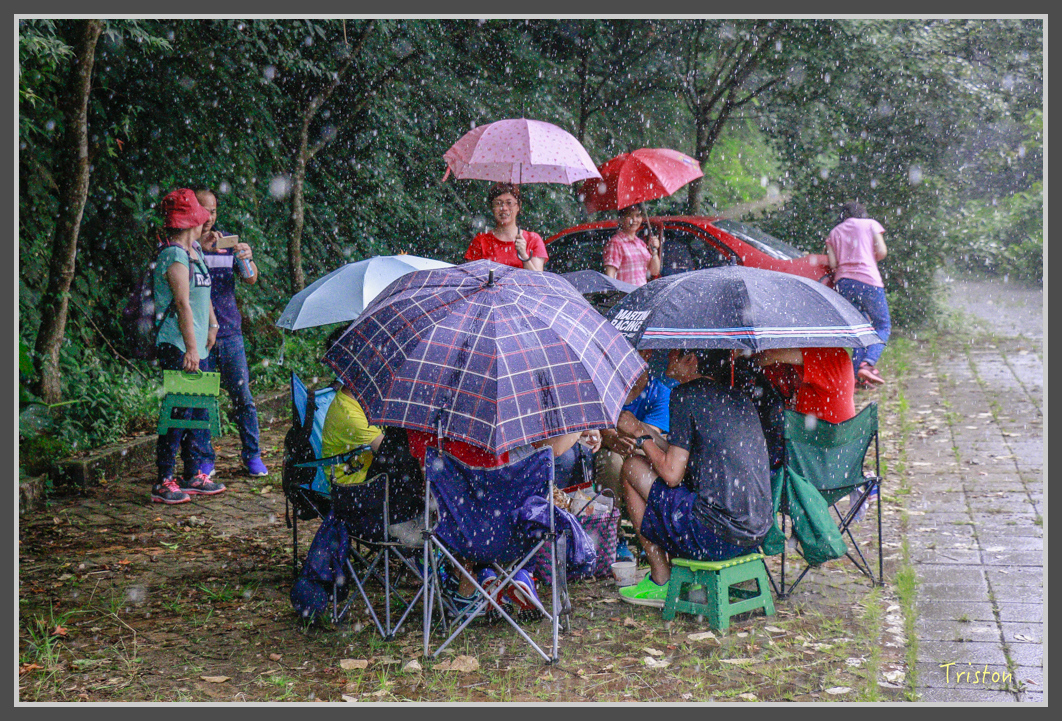 _MG_9186.jpg - 20160716 青年嶺步道
