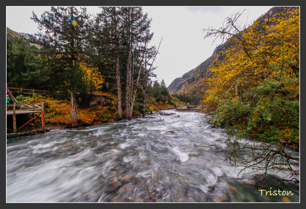 _MG_0986.jpg - 20161013 稻城亞丁