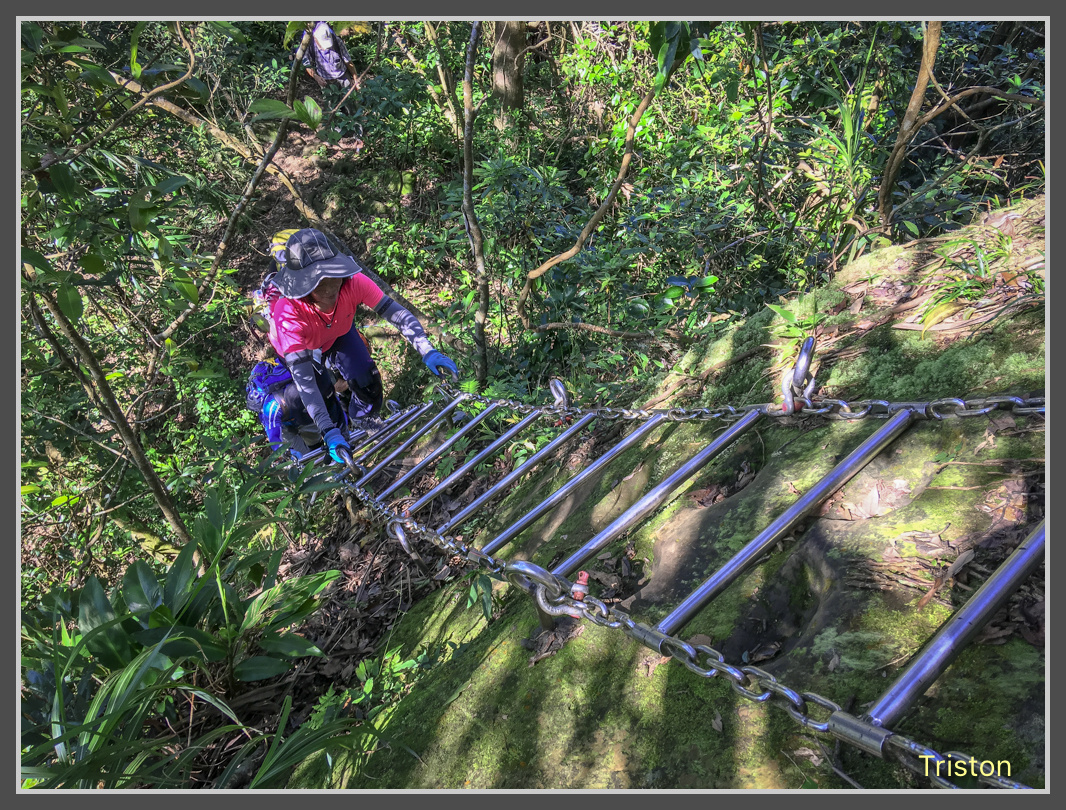 IMG_4512.jpg - 201161113 皇帝殿東西峰