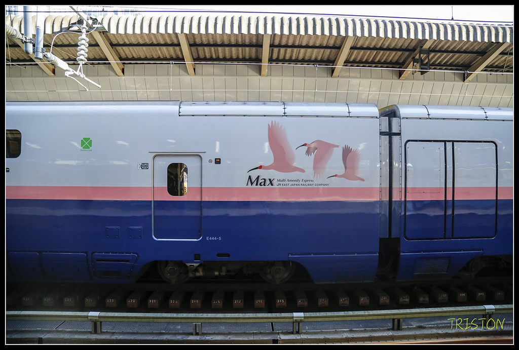 _H1A0099.jpg - 20171103 日本只見線、會津若松五色沼、昭和記念公園賞紅葉