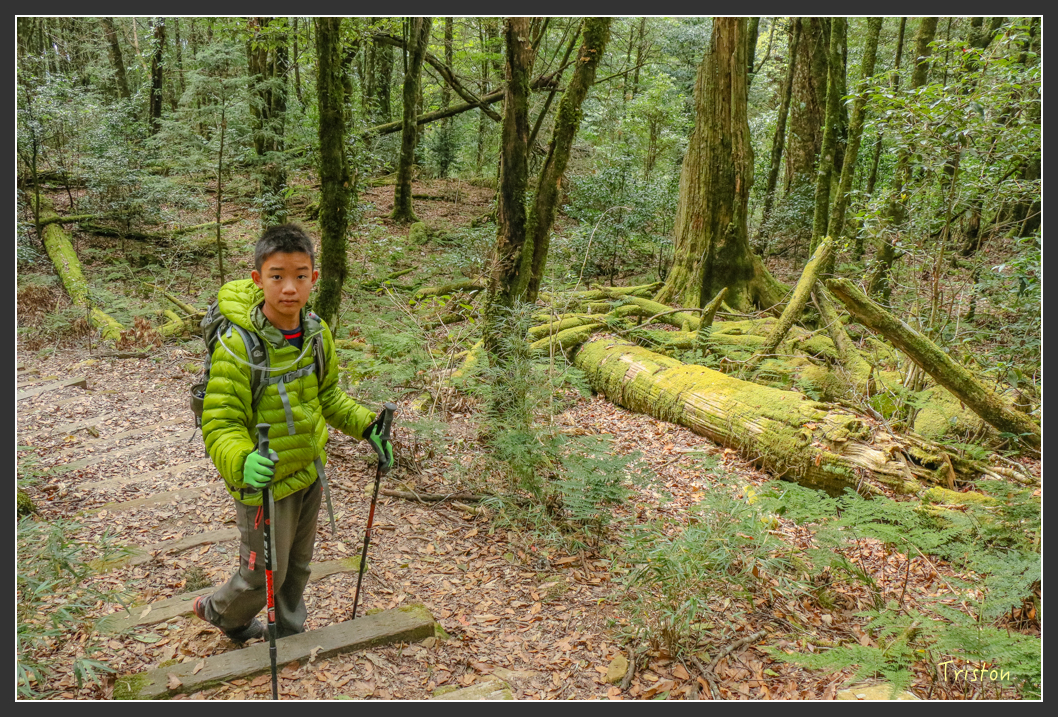 IMG_1136.jpg - 20151219 鳶嘴稍來山、小雪山林道