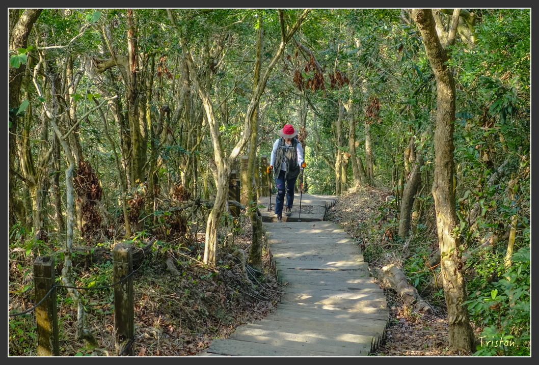 DSC00632.jpg - 20151229 鈺鼎步道