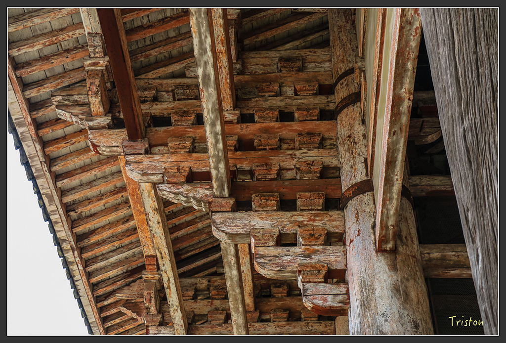 IMG_4326.jpg - 20160323 日本熊野古道健行