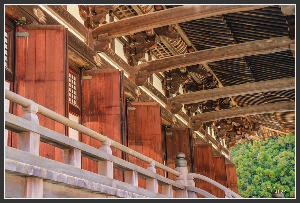 IMG_4559.jpg - 20160323 日本熊野古道健行