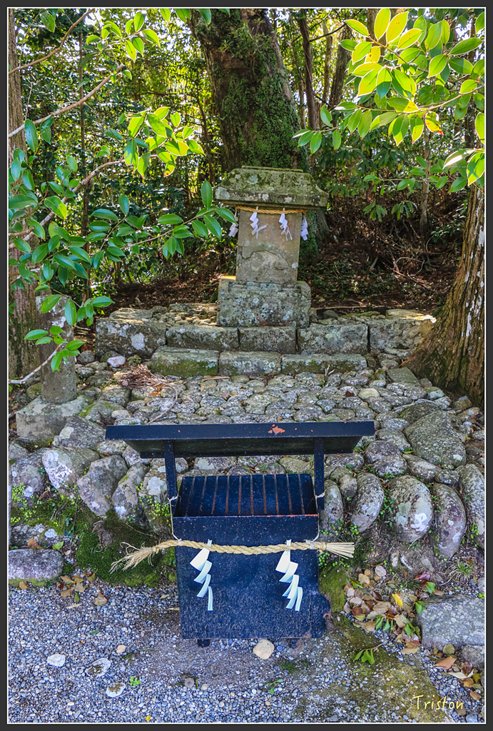 IMG_4861.jpg - 20160323 日本熊野古道健行