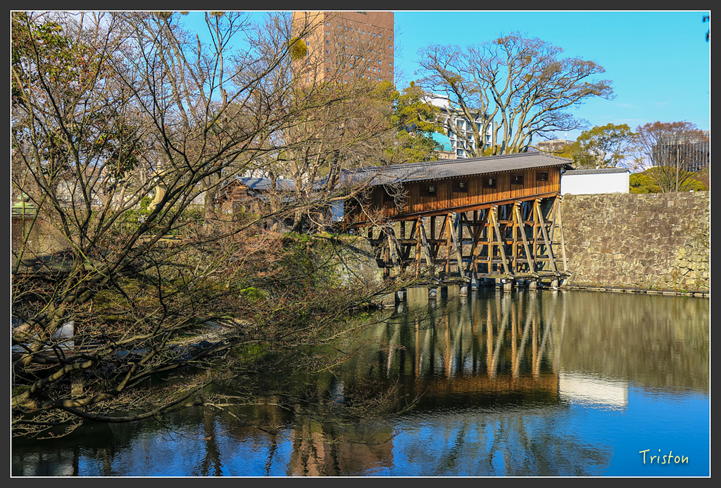 IMG_5962.jpg - 20160323 日本熊野古道健行