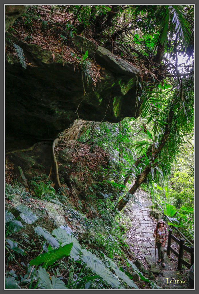 IMG-398.jpg - 20160821 中橫花東之旅