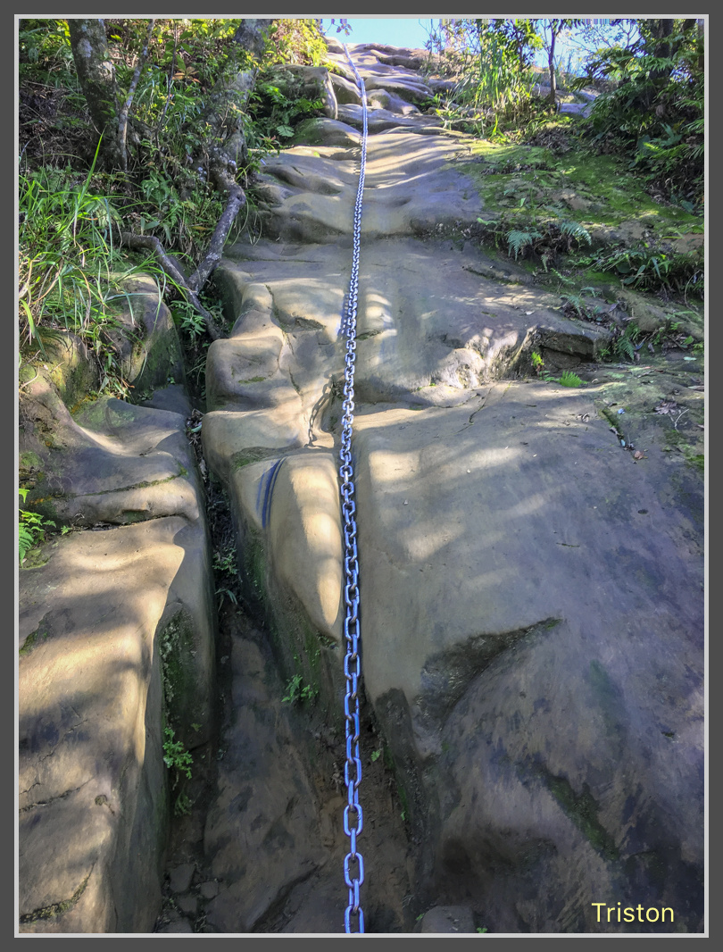 IMG_4591.jpg - 201161113 皇帝殿東西峰