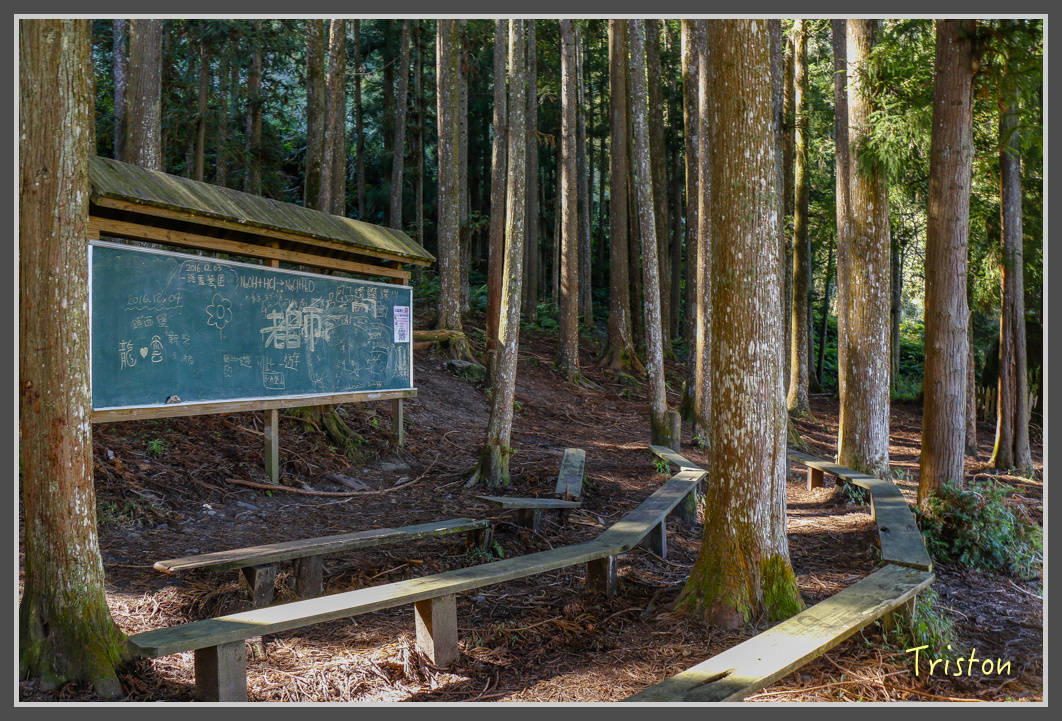 _MG_0424.jpg - 20161203 鎮西堡