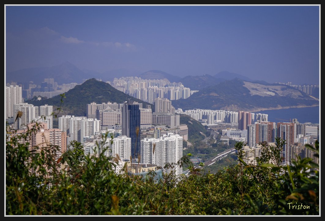 00173.jpg - 20170107 香港健行