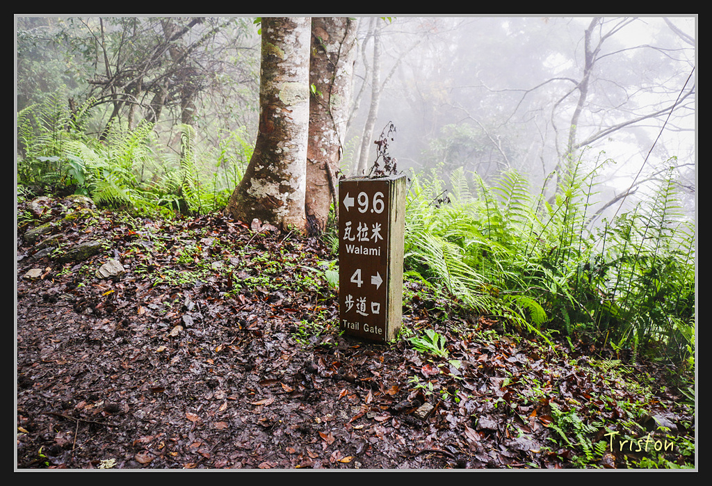 2017-02-27 10.03.53 下午 _MG_0225.jpg - 20170225 玉里瓦拉米