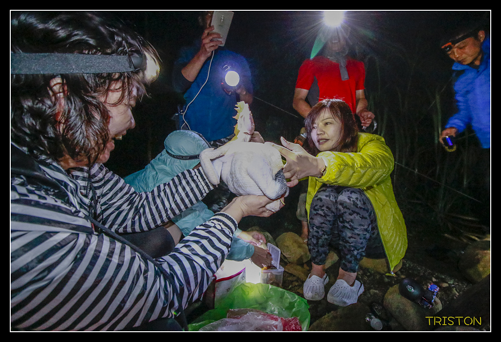 _MG_0189.jpg - 20170723 水漾森林