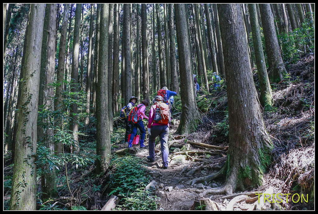 _MG_0010.jpg - 20170920 加里山