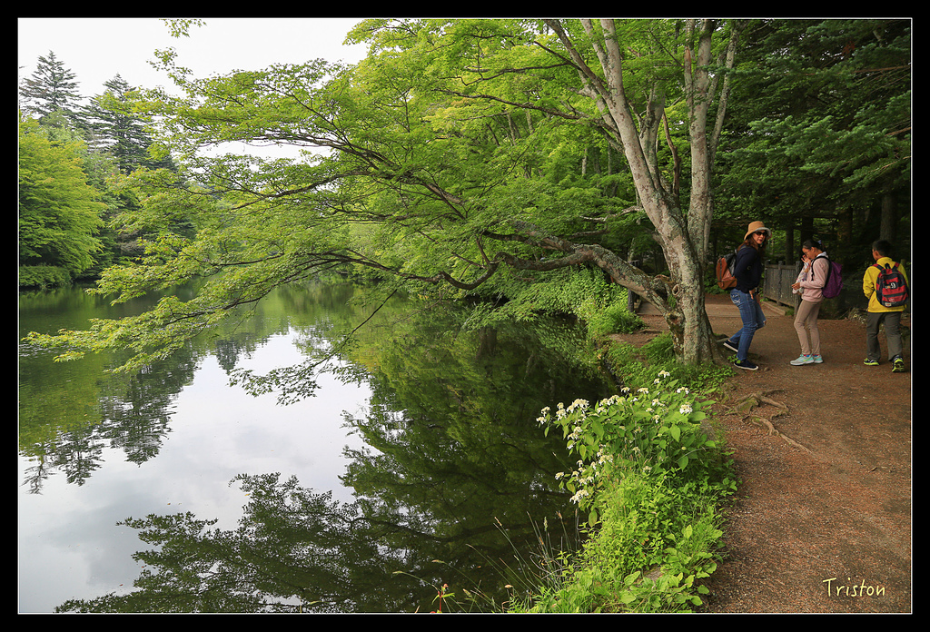 JH1A9471.jpg - 20150628 東京輕井澤日光