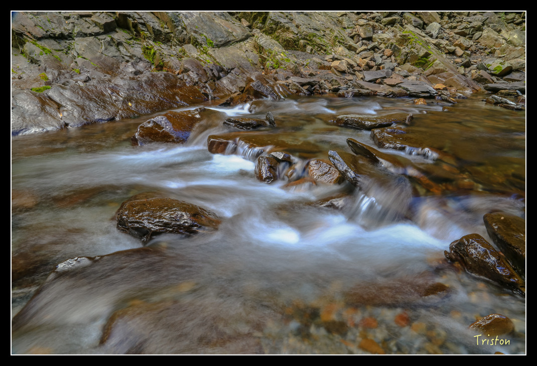 JH1A0802.jpg - 20151205 合歡溪步道、108K楓之谷