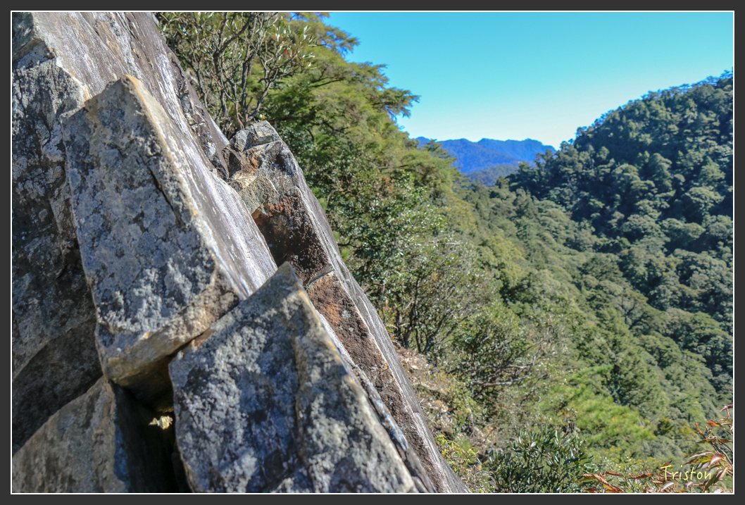 IMG_0454.jpg - 20151219 鳶嘴稍來山、小雪山林道