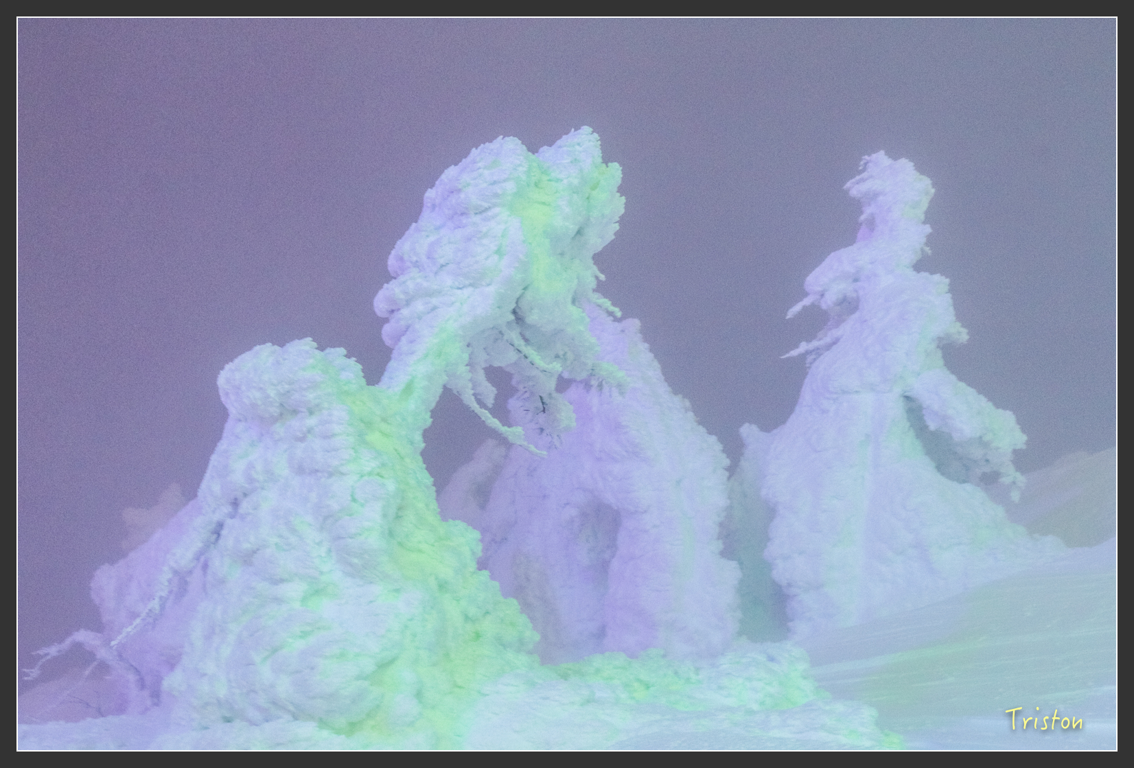 2016ZAO-00941.jpg - 20160131 日本藏王溫泉滑雪親子行