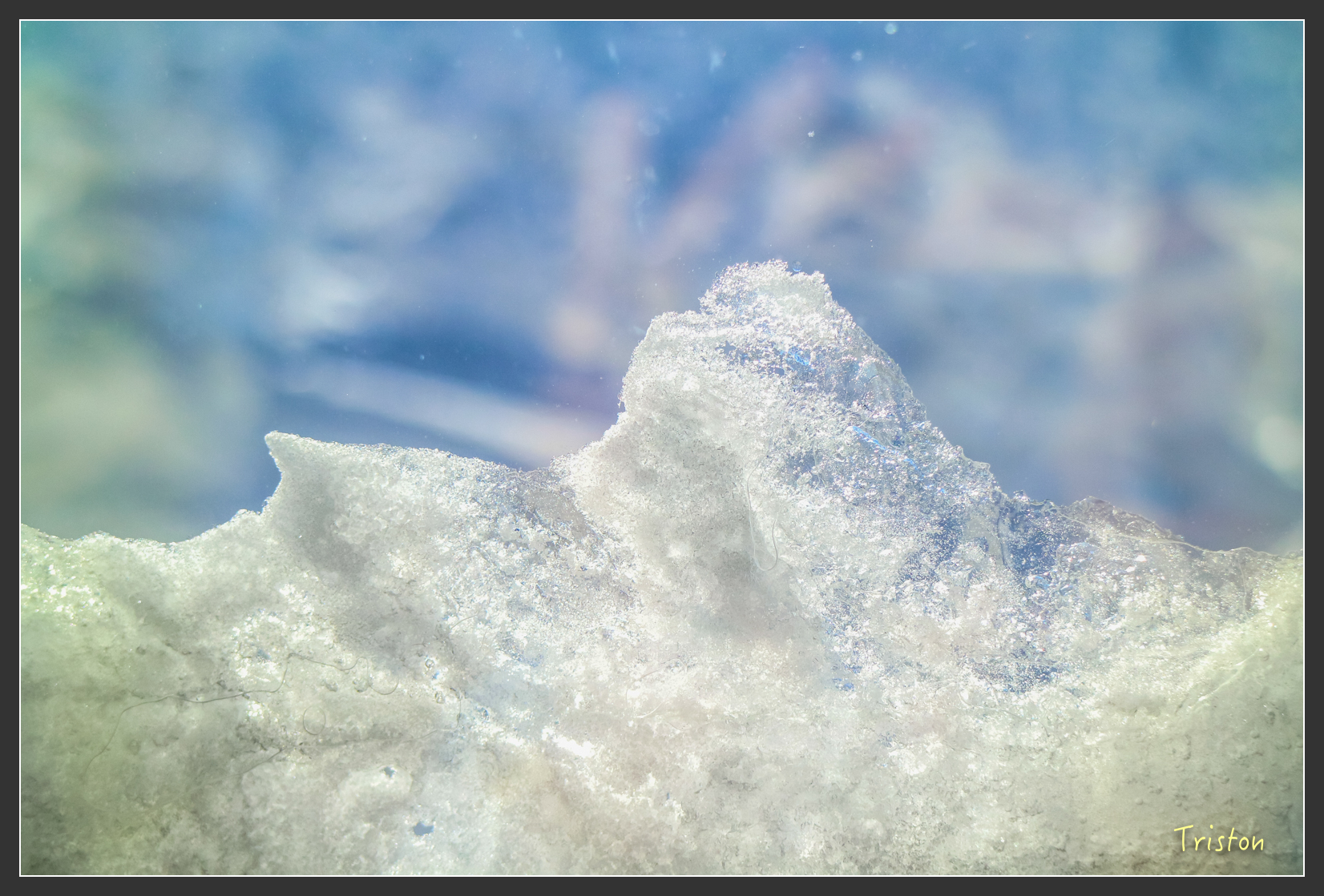 2016ZAO-01686.jpg - 20160131 日本藏王溫泉滑雪親子行