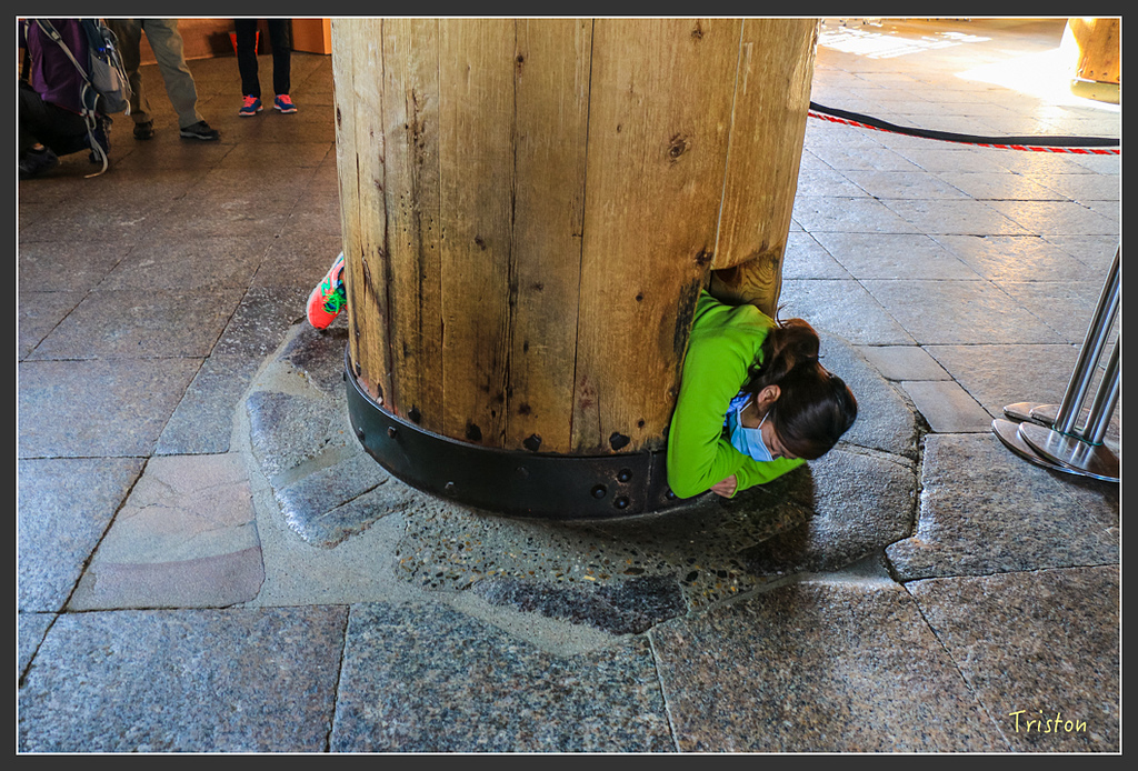 IMG_4380.jpg - 20160323 日本熊野古道健行