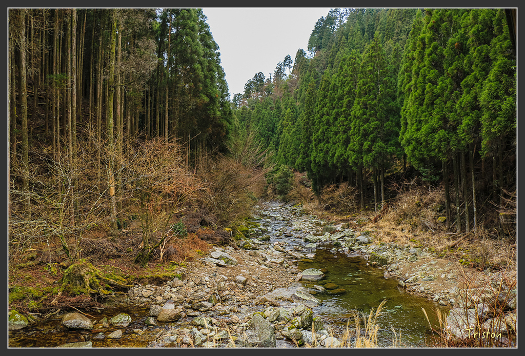IMG_5514.jpg - 20160323 日本熊野古道健行