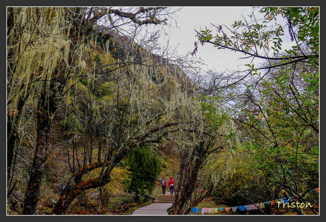 _MG_0942.jpg - 20161013 稻城亞丁