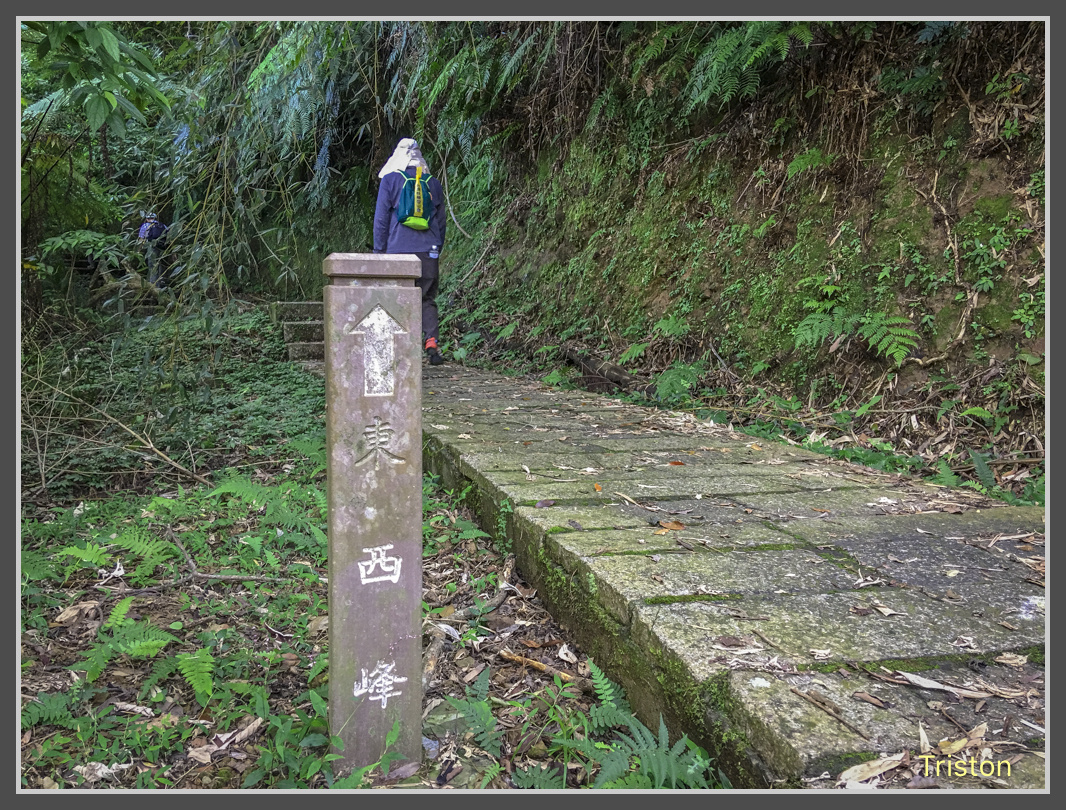 IMG_7131.jpg - 201161113 皇帝殿東西峰