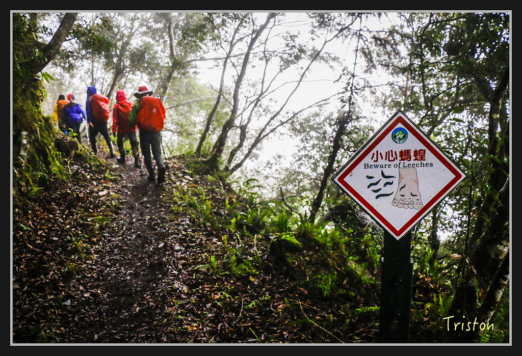 2017-02-27 10.03.53 下午 _MG_0376.jpg - 20170225 玉里瓦拉米