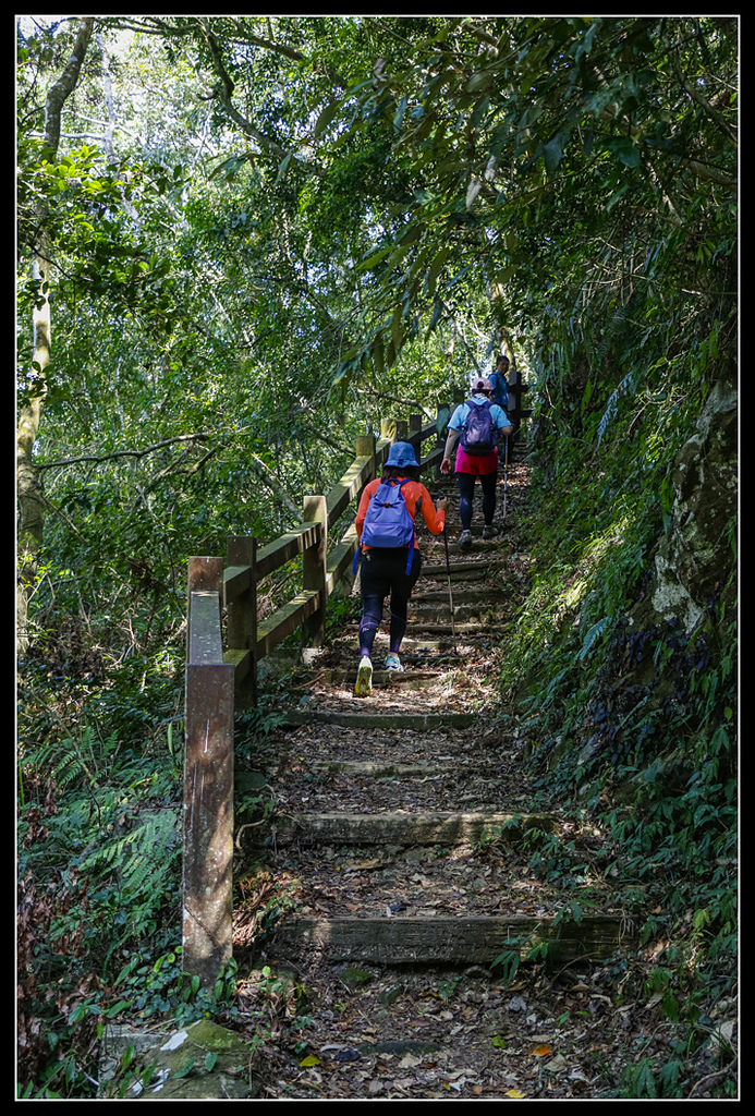 _MG_0068.jpg - 20170408 瑞太古道