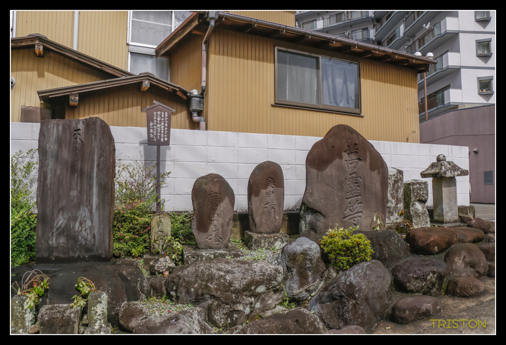_MG_1100.jpg - 20170702 靜岡東海道之旅