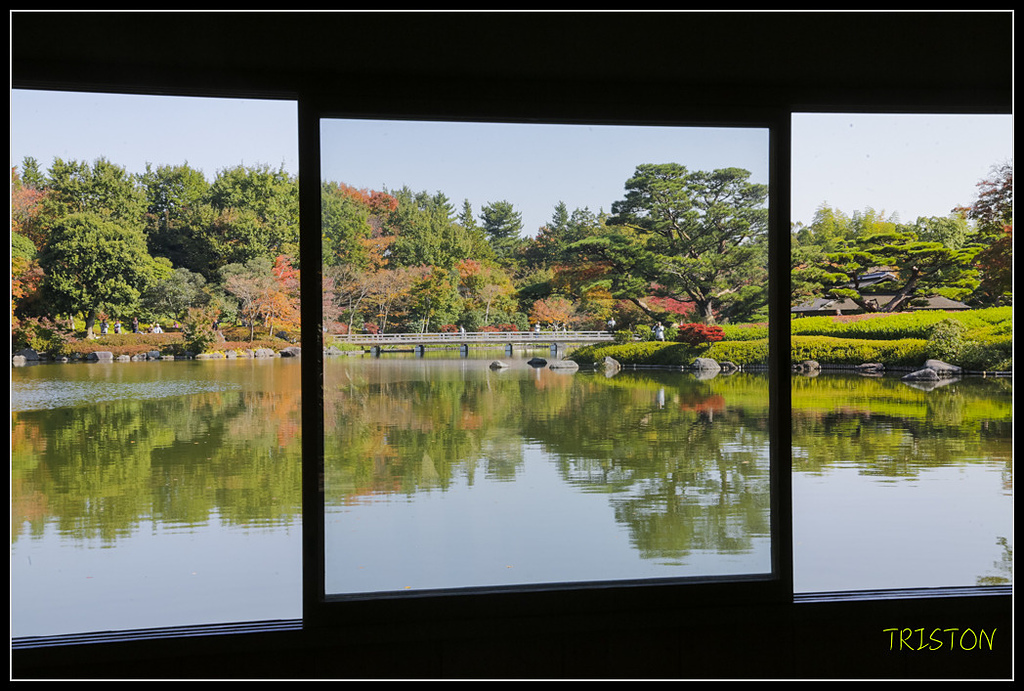 _H1A1728.jpg - 20171103 日本只見線、會津若松五色沼、昭和記念公園賞紅葉