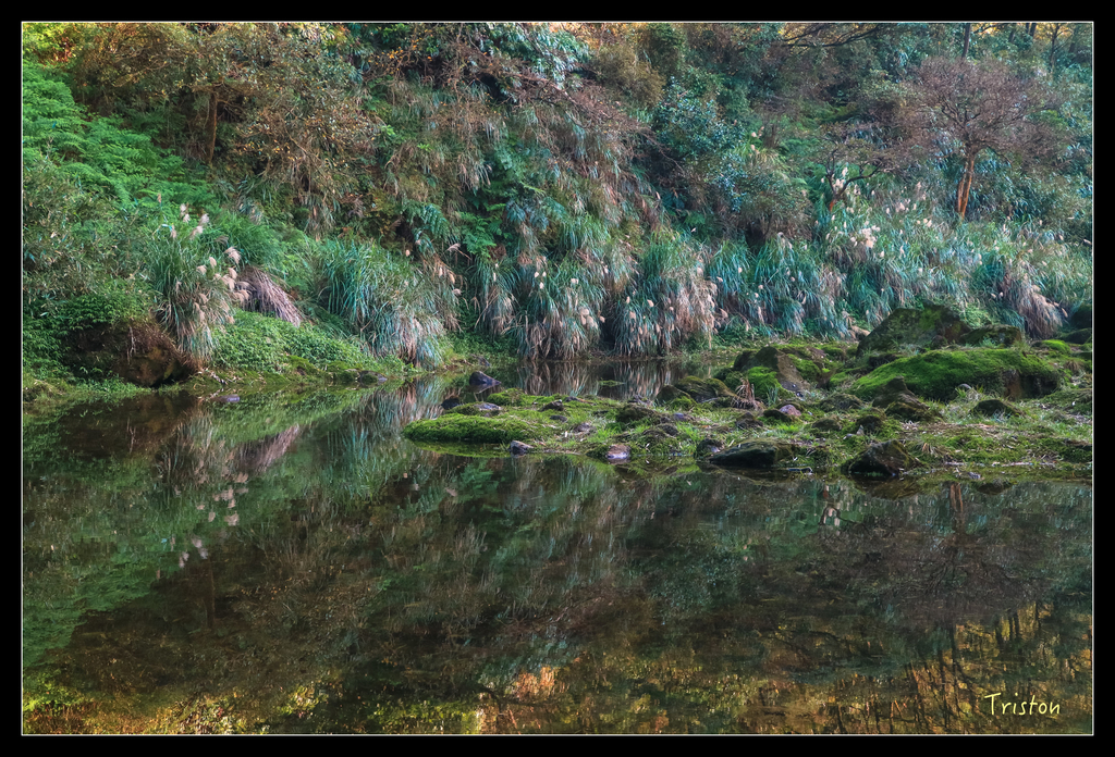 IMG_0440.jpg - 20151107 富士坪古道